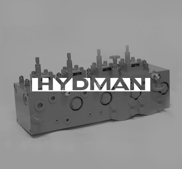 Hydman