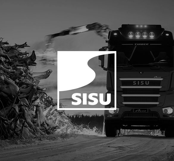 Sisu